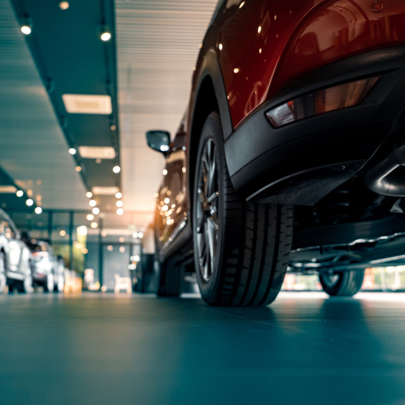 Rear-view of several car parked in a show room. Rear-view of several car parked in a show room.
