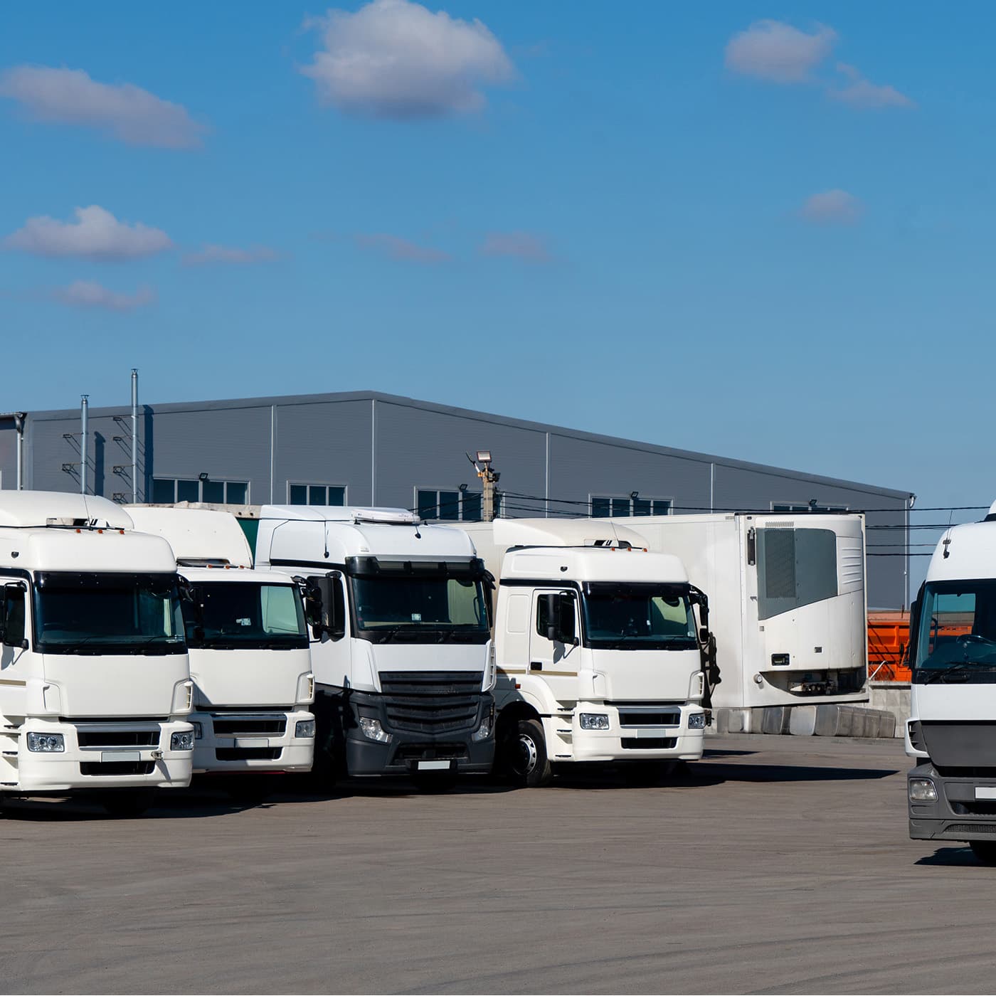 A fleet of white semi-trucks lined up. A fleet of white semi-trucks lined up.